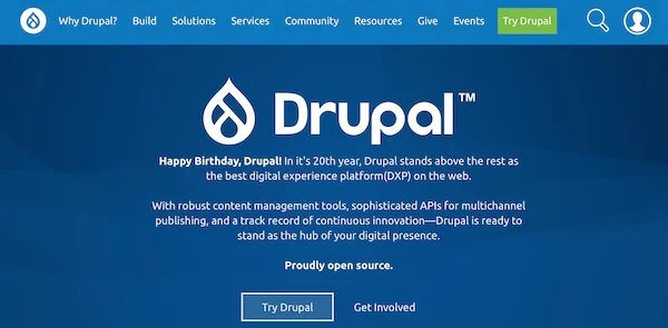 Screenshot Website Drupal