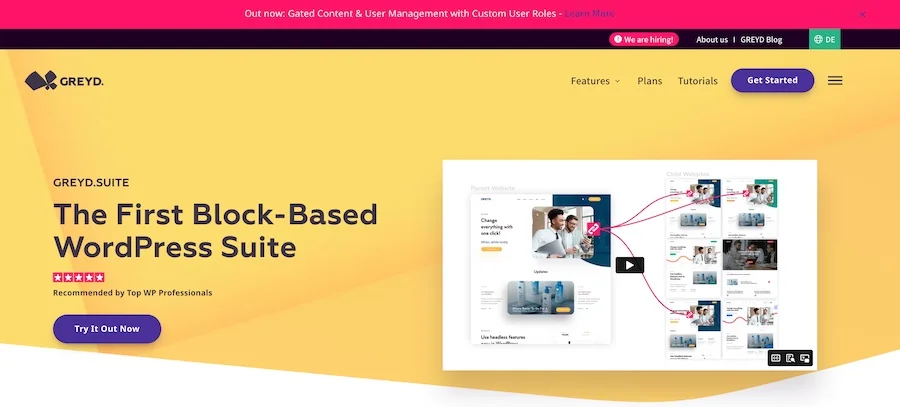 Screenshot of GREYD Website