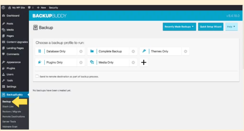Screenshot Website BackUp Buddy